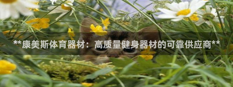 尊龙凯时平台信誉怎样