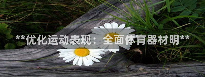 尊龙人生就是博旧版