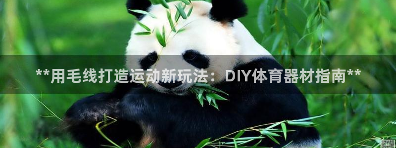 尊龙手机客户端app