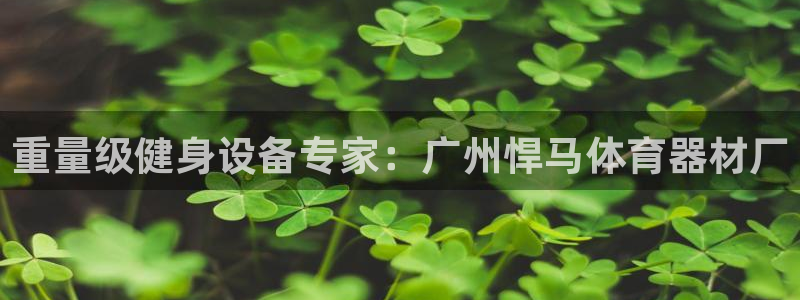 尊龙d88ag旗舰厅