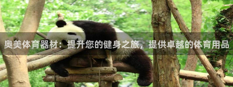 凯时首页地址