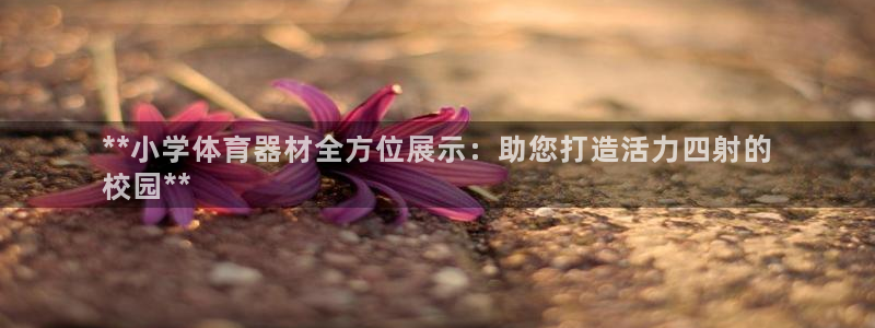 尊龙凯时人生就是搏官