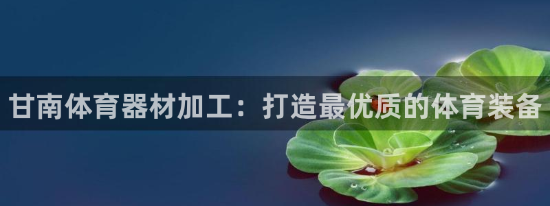 尊龙凯时公司官网