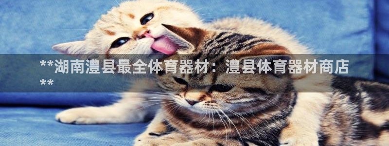 尊龙凯时台子
