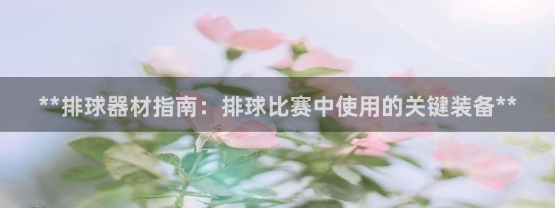 尊龙游戏官网游戏特色