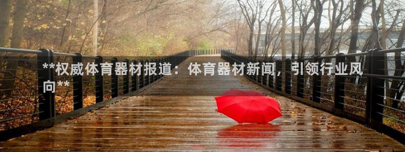 ag旗舰平台尊龙代言