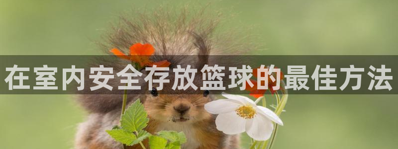 尊龙凯时官方网站