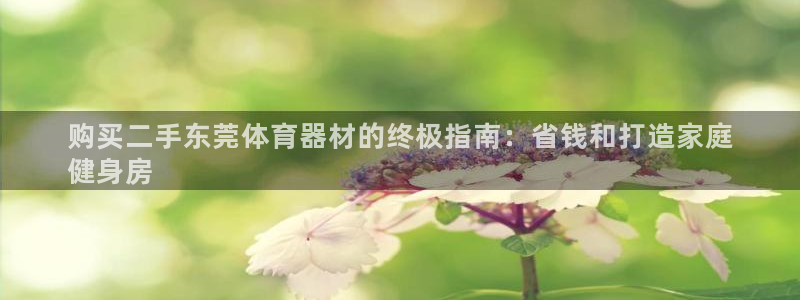 凯时官网手机版下载