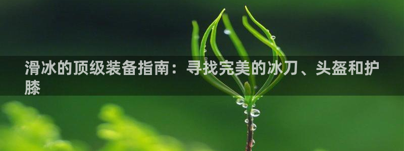 尊龙app怎么样