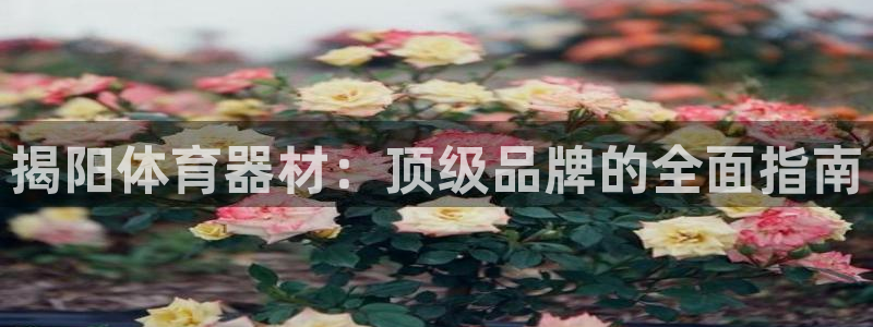 尊龙d88官网选RA来就送38