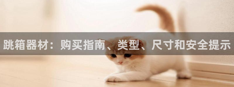 尊龙凯时处理未到账