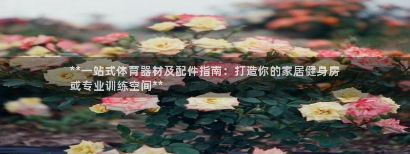 凯时网上官方网站
