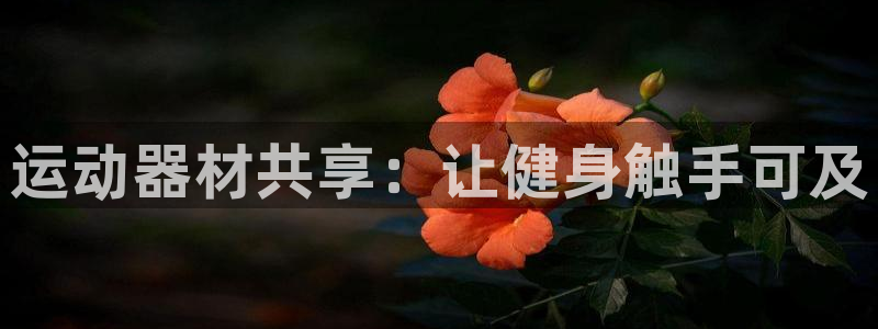 尊龙内地