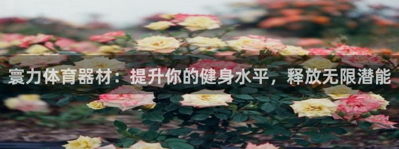 尊龙贴吧