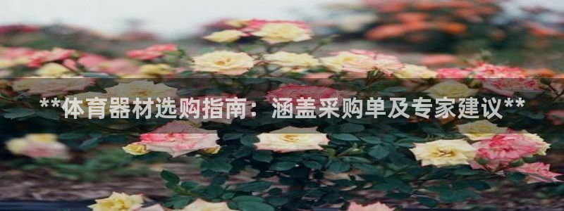 尊龙d88现金 旧版本可靠送38元