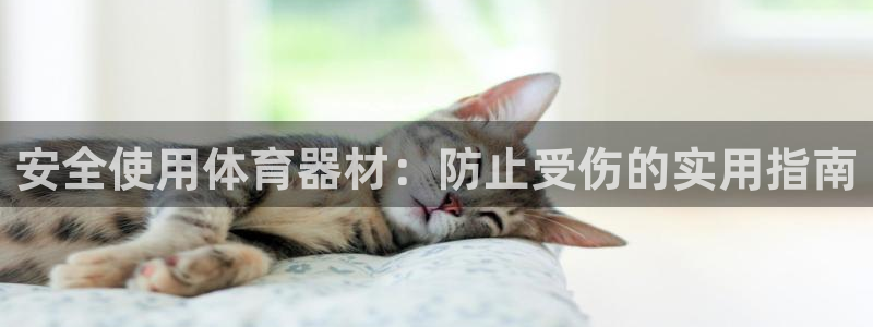 凯时kb88·中国官方网站