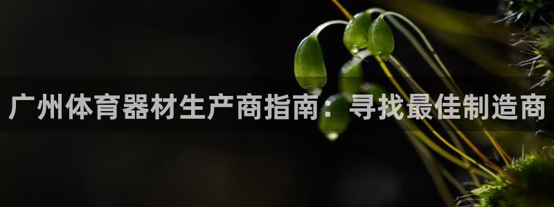 尊龙凯时输钱的原因：广州体育器材生产商指南：寻找最佳制造商