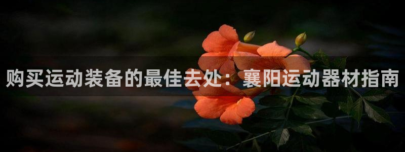 尊龙官网免费下载安装