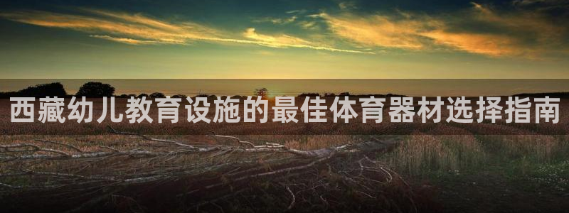 尊龙人生就是博d88官方网站：西藏幼儿教育设施的最佳体育器材
