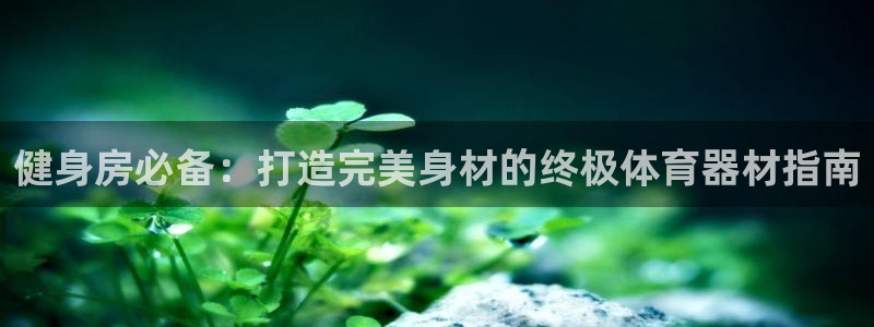 凯时国际app首页