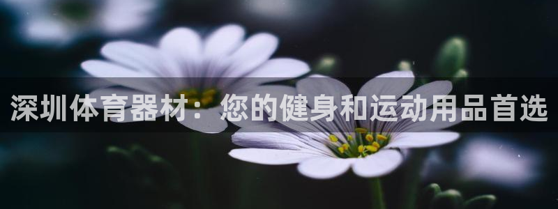 尊龙手机客户端下载APP