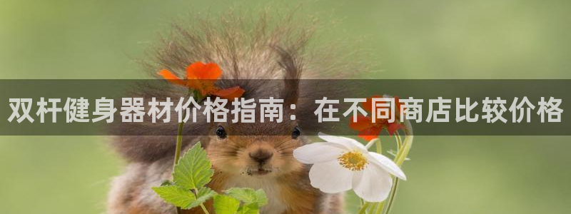 尊龙ag旗舰厅下载