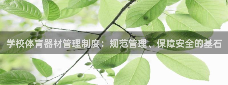 凯时kb88官网网址