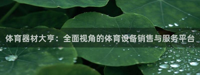 尊龙ag旗舰厅下载