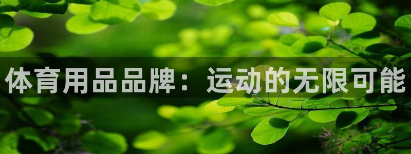 KB88凯时官网