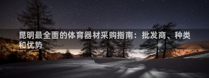 尊龙网址是选访问zd207