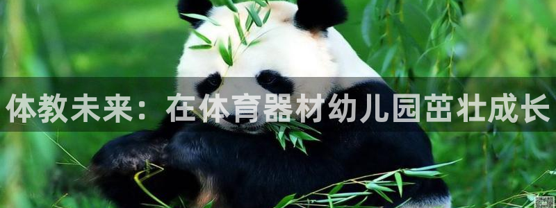 尊龙人生就是博菲律宾台子：体教未来：在体育器材幼儿园茁壮成长