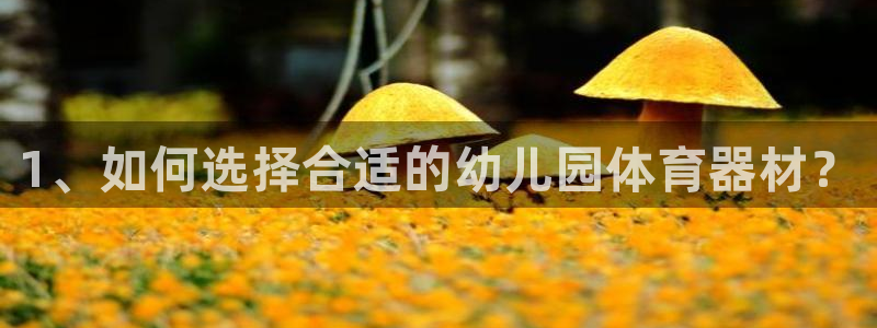 尊龙网站 人生就是博：1、如何选择合适的幼儿园体育器材？