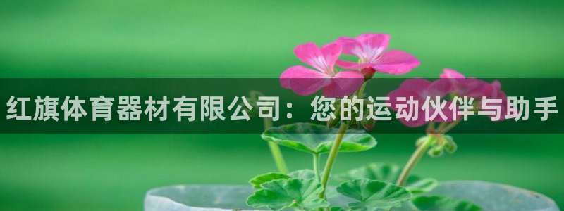 尊龙d88官网可靠送38元