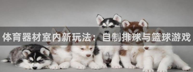 尊龙凯时官网平台