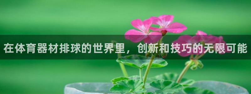 凯时官网的售后服务