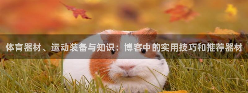 尊龙百度百科：体育器材、运动装备与知识：博客中的实用技巧和推