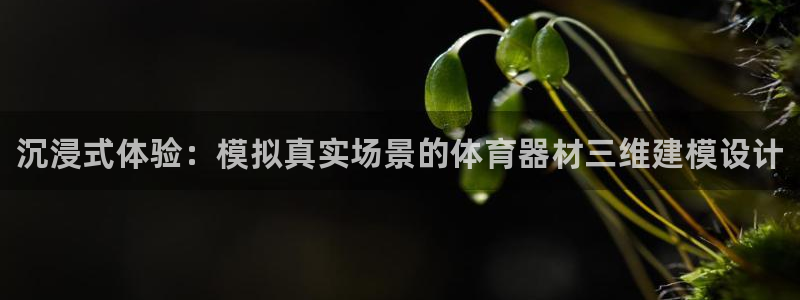 d88尊龙官网手机app